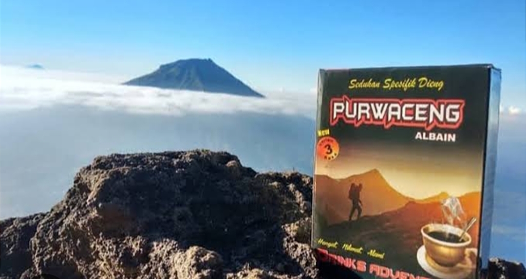 Teh Purwaceng Herbal